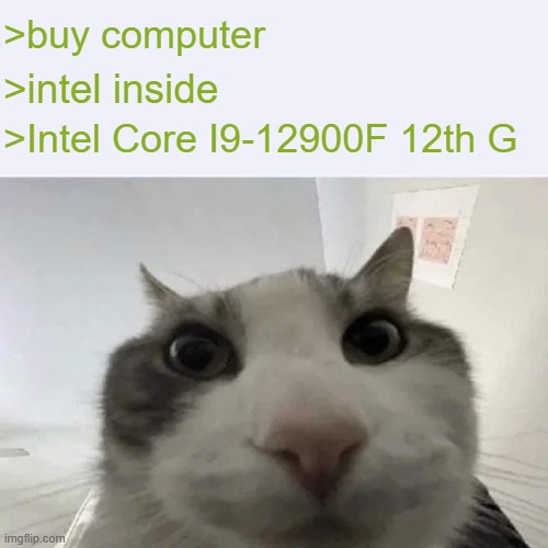 intel inside | >buy computer; >intel inside; >Intel Core I9-12900F 12th G | image tagged in green text cat,intel,memes,funny | made w/ Imgflip meme maker