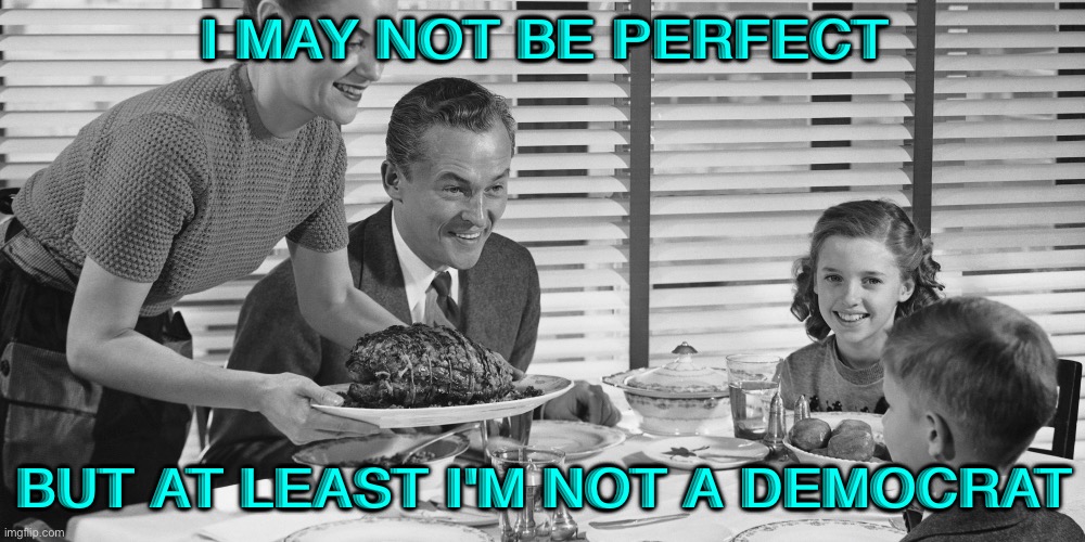 I May Not Be Perfect | I MAY NOT BE PERFECT; BUT AT LEAST I'M NOT A DEMOCRAT | image tagged in vintage family | made w/ Imgflip meme maker