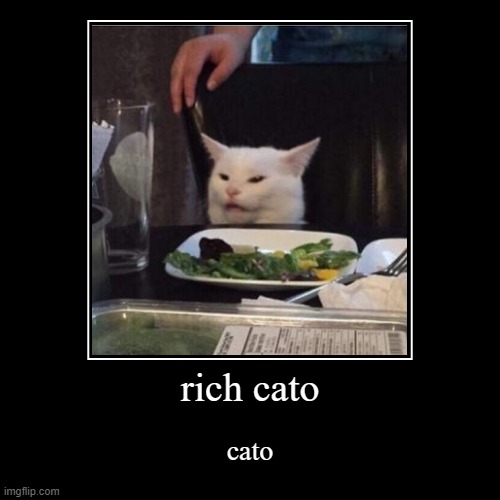 rich cato | cato | image tagged in memes,woman yelling at cat | made w/ Imgflip demotivational maker