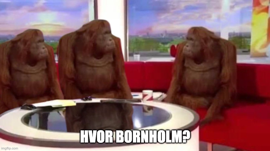 orangutan interview | HVOR BORNHOLM? | image tagged in orangutan interview | made w/ Imgflip meme maker