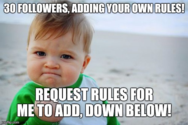 We did it! | 30 FOLLOWERS, ADDING YOUR OWN RULES! REQUEST RULES FOR ME TO ADD, DOWN BELOW! | image tagged in memes,success kid original | made w/ Imgflip meme maker