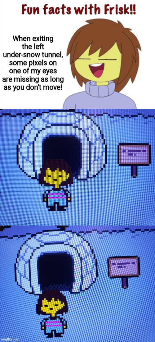 Fun facts with AnnabethChase101 through Frisk #2 | When exiting the left under-snow tunnel, some pixels on one of my eyes are missing as long as you don't move! | image tagged in fun facts with frisk,undertale,fun fact | made w/ Imgflip meme maker