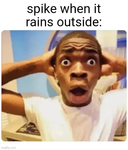 Black guy suprised | spike when it rains outside: | image tagged in black guy suprised | made w/ Imgflip meme maker