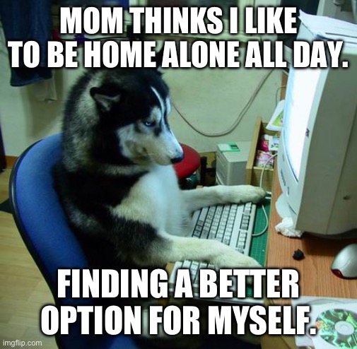 I Have No Idea What I Am Doing Meme | MOM THINKS I LIKE TO BE HOME ALONE ALL DAY. FINDING A BETTER OPTION FOR MYSELF. | image tagged in memes,i have no idea what i am doing | made w/ Imgflip meme maker