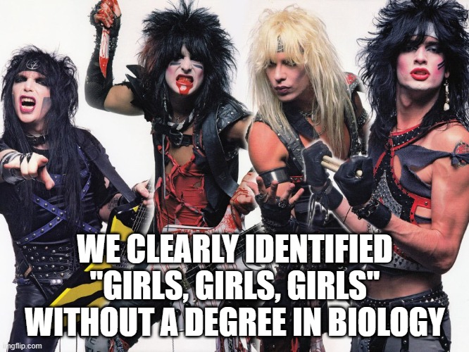Motley Crue | WE CLEARLY IDENTIFIED "GIRLS, GIRLS, GIRLS"
WITHOUT A DEGREE IN BIOLOGY | image tagged in motley crue | made w/ Imgflip meme maker