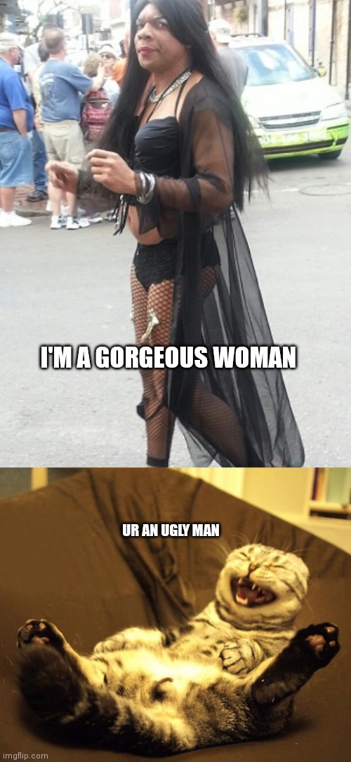I'M A GORGEOUS WOMAN; UR AN UGLY MAN | image tagged in pissy transvestite,laughing cat | made w/ Imgflip meme maker