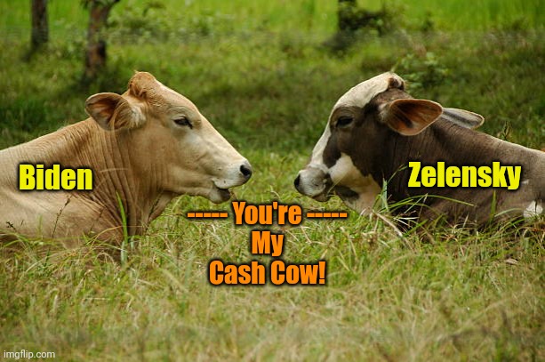 Udder Frauds | Zelensky; Biden; ----- You're -----
My
Cash Cow! | made w/ Imgflip meme maker
