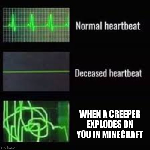 Help.Me. | WHEN A CREEPER EXPLODES ON YOU IN MINECRAFT | image tagged in heart rate monitor | made w/ Imgflip meme maker