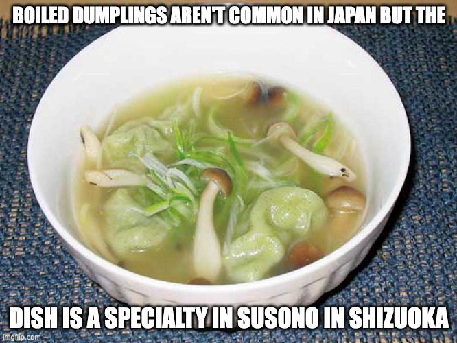 Susono Boiled Dumplings | BOILED DUMPLINGS AREN'T COMMON IN JAPAN BUT THE; DISH IS A SPECIALTY IN SUSONO IN SHIZUOKA | image tagged in food,dumplings,memes | made w/ Imgflip meme maker