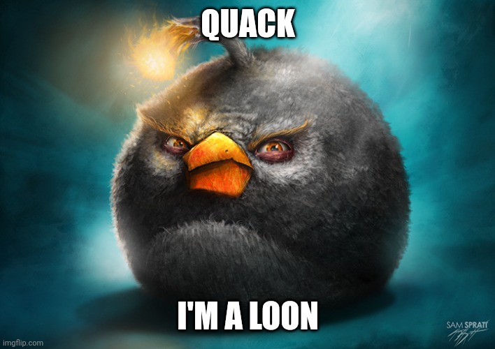 Quack | QUACK; I'M A LOON | image tagged in realistic bomb angry bird,quack | made w/ Imgflip meme maker