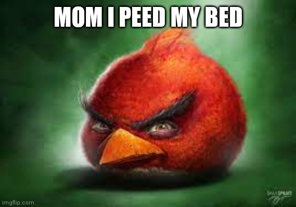 Bed | MOM I PEED MY BED | image tagged in realistic red angry birds | made w/ Imgflip meme maker