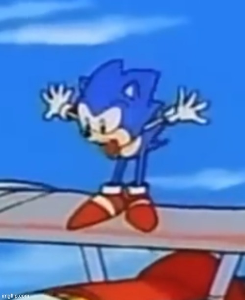 no cap i love the ova | image tagged in sonic pog | made w/ Imgflip meme maker