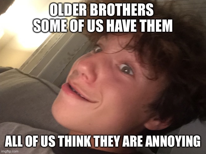 Older brother | OLDER BROTHERS  SOME OF US HAVE THEM; ALL OF US THINK THEY ARE ANNOYING | image tagged in face,brother,meme | made w/ Imgflip meme maker