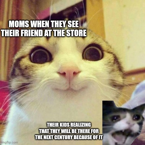 Is this relatable or no | MOMS WHEN THEY SEE THEIR FRIEND AT THE STORE; THEIR KIDS REALIZING THAT THEY WILL BE THERE FOR THE NEXT CENTURY BECAUSE OF IT | image tagged in memes,smiling cat | made w/ Imgflip meme maker