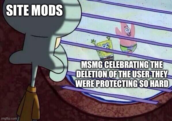 Squidward window | SITE MODS; MSMG CELEBRATING THE DELETION OF THE USER THEY
WERE PROTECTING SO HARD | image tagged in squidward window | made w/ Imgflip meme maker