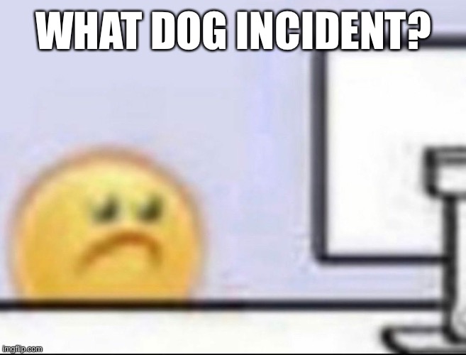Zad | WHAT DOG INCIDENT? | image tagged in zad | made w/ Imgflip meme maker