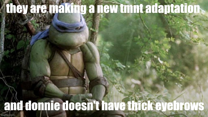 Donnie's thick eyebrows shall be missed ? | they are making a new tmnt adaptation; and donnie doesn't have thick eyebrows | image tagged in tmnt pizza struggle real | made w/ Imgflip meme maker