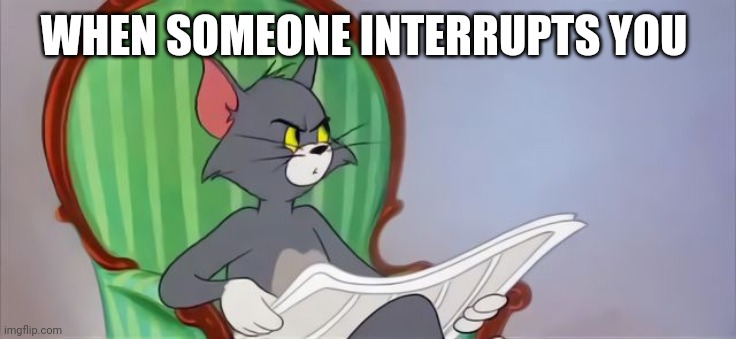 No why!!! | WHEN SOMEONE INTERRUPTS YOU | image tagged in tom cat reading a newspaper | made w/ Imgflip meme maker