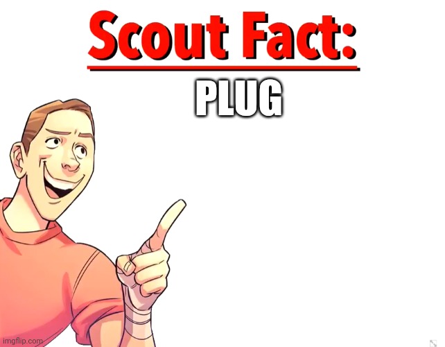 Scout Fact | PLUG | image tagged in scout fact,america | made w/ Imgflip meme maker