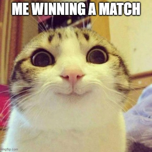 be like: | ME WINNING A MATCH | image tagged in memes,smiling cat | made w/ Imgflip meme maker