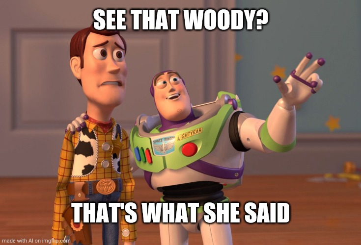 It's perfect! | SEE THAT WOODY? THAT'S WHAT SHE SAID | image tagged in memes,x x everywhere | made w/ Imgflip meme maker