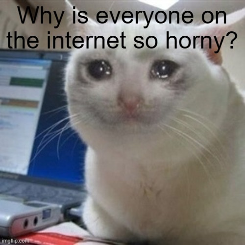 Crying cat | Why is everyone on the internet so horny? | image tagged in crying cat | made w/ Imgflip meme maker