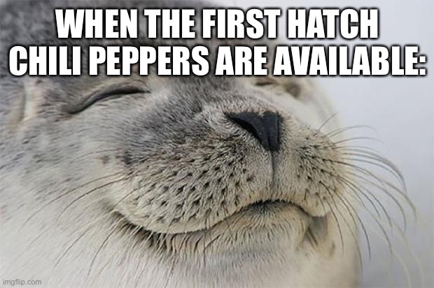 Turning into fall... | WHEN THE FIRST HATCH CHILI PEPPERS ARE AVAILABLE: | image tagged in memes,satisfied seal | made w/ Imgflip meme maker