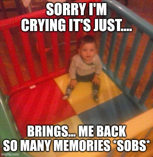 Memories... | SORRY I'M CRYING IT'S JUST.... BRINGS... ME BACK SO MANY MEMORIES *SOBS* | image tagged in memories,memes | made w/ Imgflip meme maker