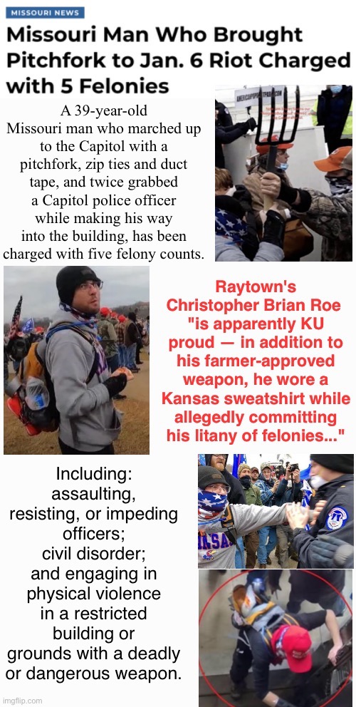 Roe vs Raid | image tagged in domestic terrorists,assault weapon,treason,ram puff | made w/ Imgflip meme maker