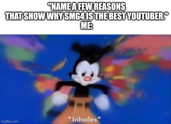 Yakko inhale | "NAME A FEW REASONS THAT SHOW WHY SMG4 IS THE BEST YOUTUBER."
ME: | image tagged in yakko inhale | made w/ Imgflip meme maker