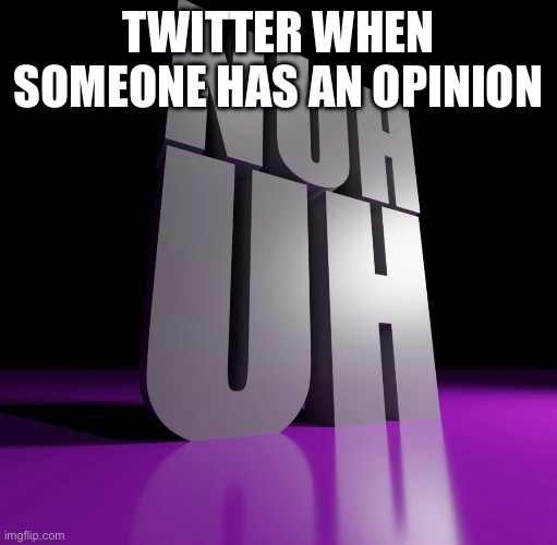 nuh uh 3d | TWITTER WHEN SOMEONE HAS AN OPINION | image tagged in nuh uh 3d | made w/ Imgflip meme maker