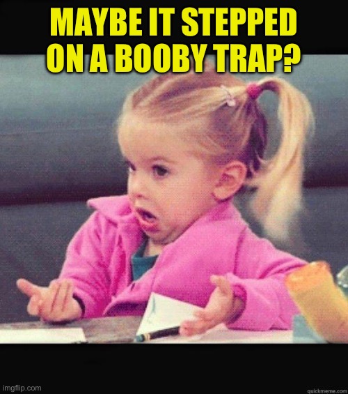 I dont know girl | MAYBE IT STEPPED ON A BOOBY TRAP? | image tagged in i dont know girl | made w/ Imgflip meme maker