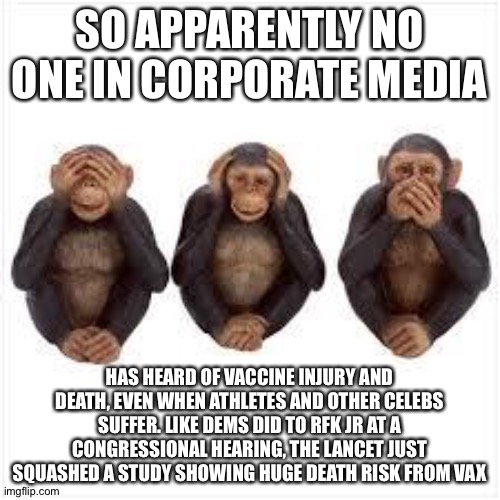 See no Evil Hear no Evil Speak no Evil | SO APPARENTLY NO ONE IN CORPORATE MEDIA; HAS HEARD OF VACCINE INJURY AND DEATH, EVEN WHEN ATHLETES AND OTHER CELEBS SUFFER. LIKE DEMS DID TO RFK JR AT A CONGRESSIONAL HEARING, THE LANCET JUST SQUASHED A STUDY SHOWING HUGE DEATH RISK FROM VAX | image tagged in see no evil hear no evil speak no evil | made w/ Imgflip meme maker