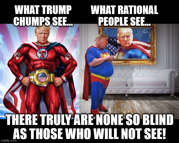 The horrible truth Trump Chumps refuse to admit... | WHAT RATIONAL PEOPLE SEE... WHAT TRUMP
CHUMPS SEE... THERE TRULY ARE NONE SO BLIND
AS THOSE WHO WILL NOT SEE! | image tagged in fantasy-vs-reality | made w/ Imgflip meme maker
