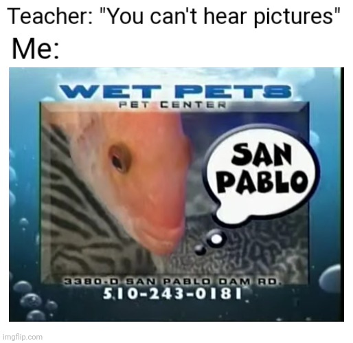 Wet Pets San Pablo | image tagged in memes,you can't hear pictures,commercial,wet,pets | made w/ Imgflip meme maker
