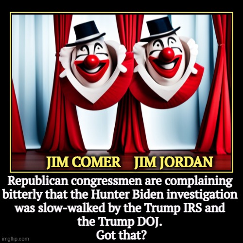 IDIOTS! | JIM COMER    JIM JORDAN | Republican congressmen are complaining 
bitterly that the Hunter Biden investigation 
was slow-walked by the Trump | image tagged in funny,demotivationals,republican,congressmen,idiots,hunter biden | made w/ Imgflip demotivational maker
