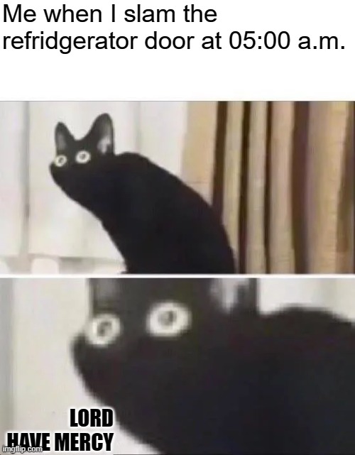 TAKE ME NOW LORD, TAKE ME NOW | Me when I slam the refridgerator door at 05:00 a.m. LORD HAVE MERCY | image tagged in oh no black cat | made w/ Imgflip meme maker