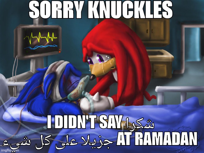 Dying Sonic | SORRY KNUCKLES; I DIDN'T SAY شكرا جزيلا على كل شيء AT RAMADAN | image tagged in dying sonic | made w/ Imgflip meme maker