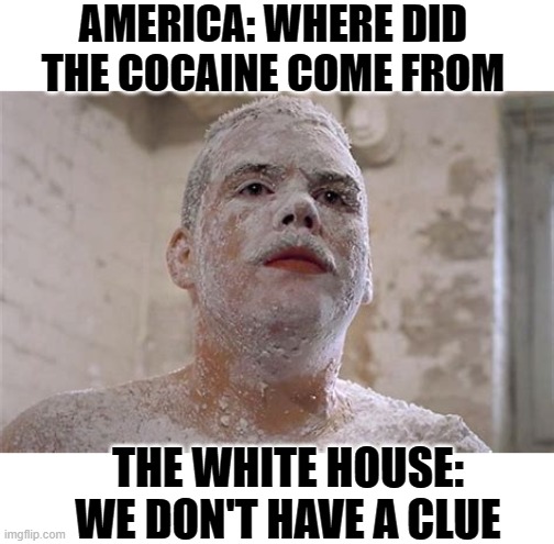I Bet They Nose | AMERICA: WHERE DID THE COCAINE COME FROM; THE WHITE HOUSE: WE DON'T HAVE A CLUE | image tagged in farva cocaine,memes,politics | made w/ Imgflip meme maker