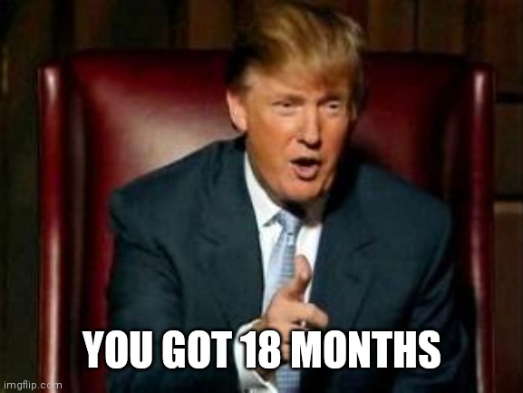 Donald Trump | YOU GOT 18 MONTHS | image tagged in donald trump | made w/ Imgflip meme maker