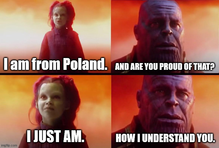 thanos what did it cost | I am from Poland. AND ARE YOU PROUD OF THAT? I JUST AM. HOW I UNDERSTAND YOU. | image tagged in thanos what did it cost | made w/ Imgflip meme maker