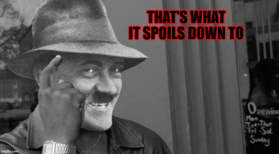 Smart Hitler | THAT'S WHAT IT SPOILS DOWN TO | image tagged in smart hitler | made w/ Imgflip meme maker