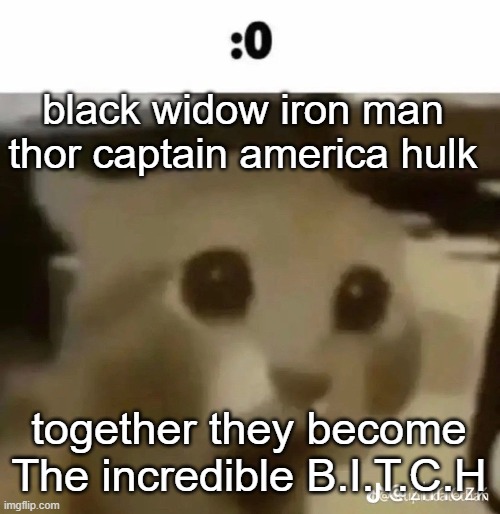 :0 | black widow iron man thor captain america hulk; together they become
The incredible B.I.T.C.H | made w/ Imgflip meme maker