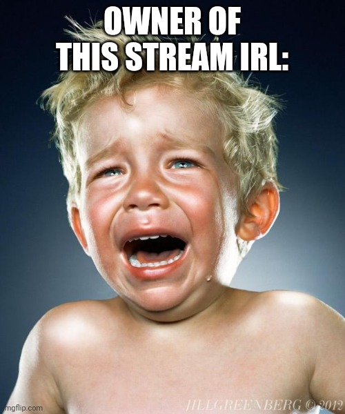 crying child | OWNER OF THIS STREAM IRL: | image tagged in crying child | made w/ Imgflip meme maker