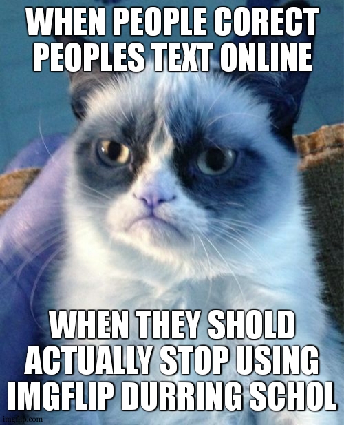 typing is hard | WHEN PEOPLE CORECT PEOPLES TEXT ONLINE; WHEN THEY SHOLD ACTUALLY STOP USING IMGFLIP DURRING SCHOL | image tagged in memes,grumpy cat,all those miss-spells were to make my point | made w/ Imgflip meme maker