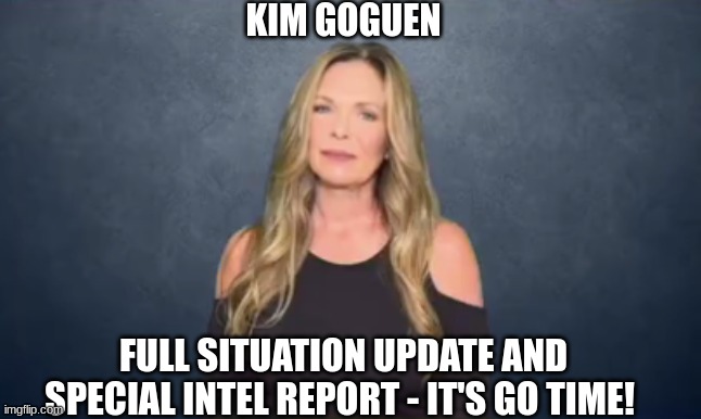 Kim Gougen: Full Situation Update and Special Intel Report - It's GO Time! 7/22/2023 (Video) 