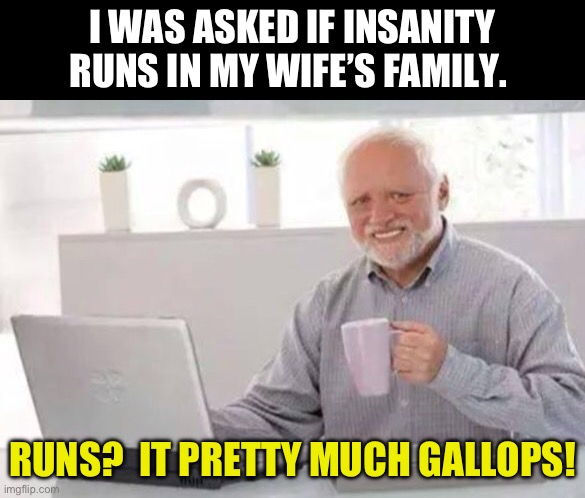 Insanity | I WAS ASKED IF INSANITY RUNS IN MY WIFE’S FAMILY. RUNS?  IT PRETTY MUCH GALLOPS! | image tagged in harold | made w/ Imgflip meme maker