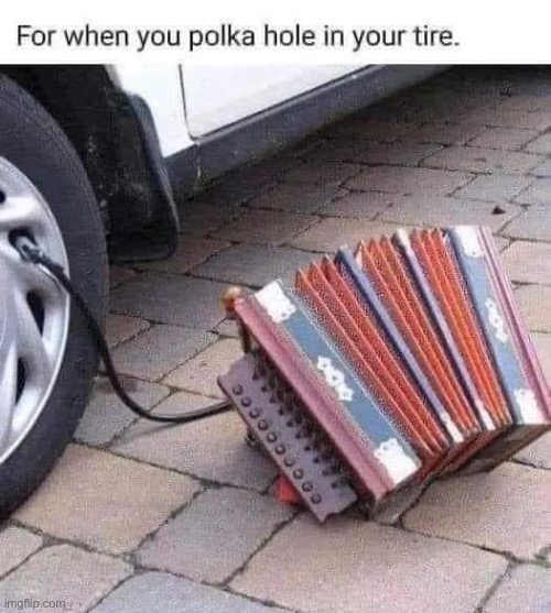 Polka | image tagged in dad joke | made w/ Imgflip meme maker