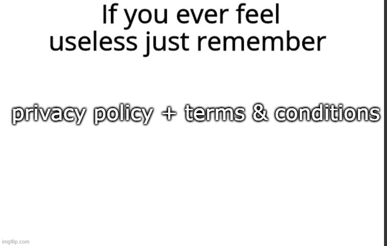 no one cares about t&c and privacy policy | privacy policy + terms & conditions | image tagged in if you ever feel useless remember this | made w/ Imgflip meme maker
