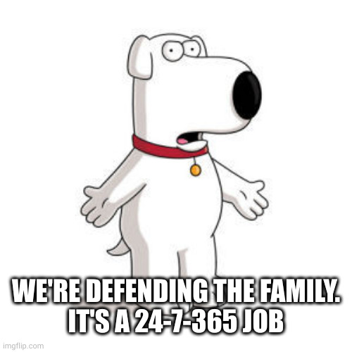 Family Guy Brian Meme | WE'RE DEFENDING THE FAMILY.
IT'S A 24-7-365 JOB | image tagged in memes,family guy brian | made w/ Imgflip meme maker